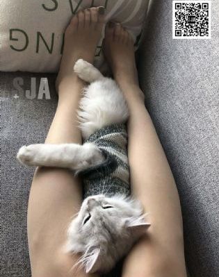 黄骗免费网_迅雷1080